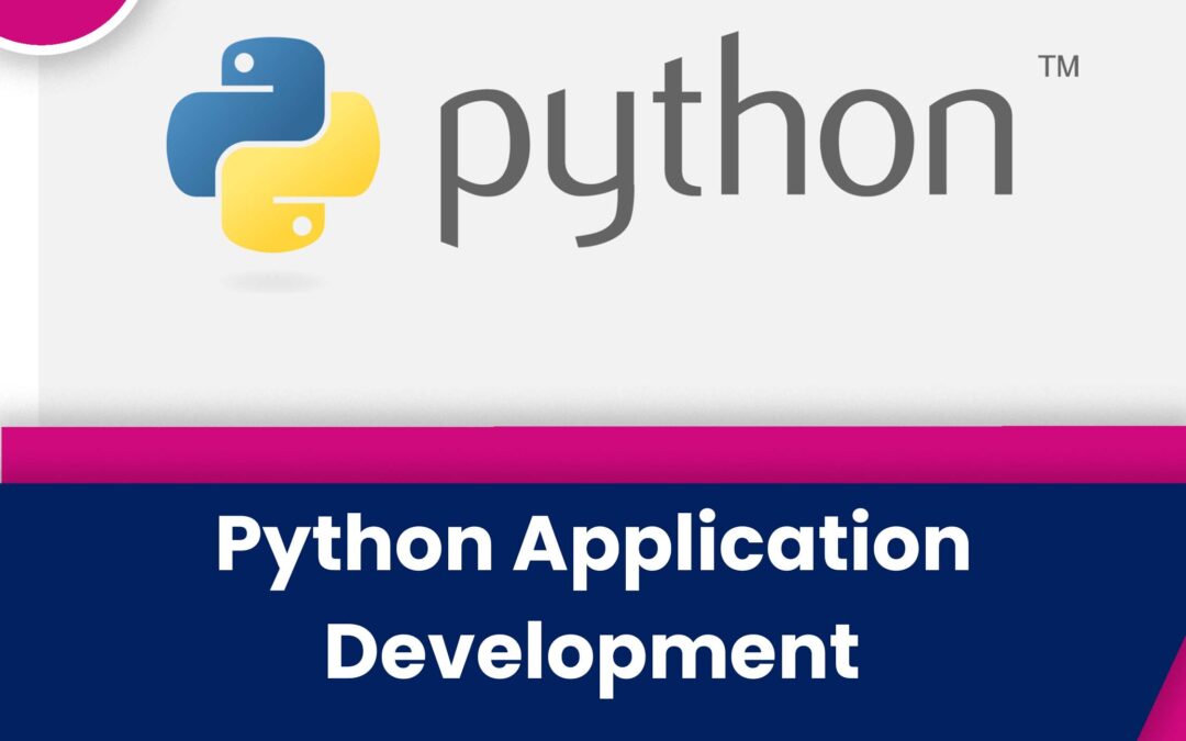 Why You Should Use Python to Build an Application?