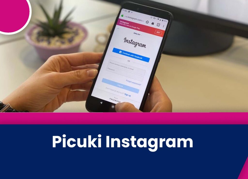 Picuki Instagram