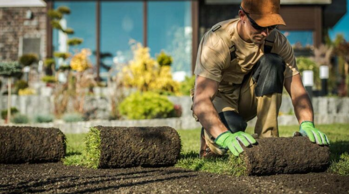 Landscaping Business