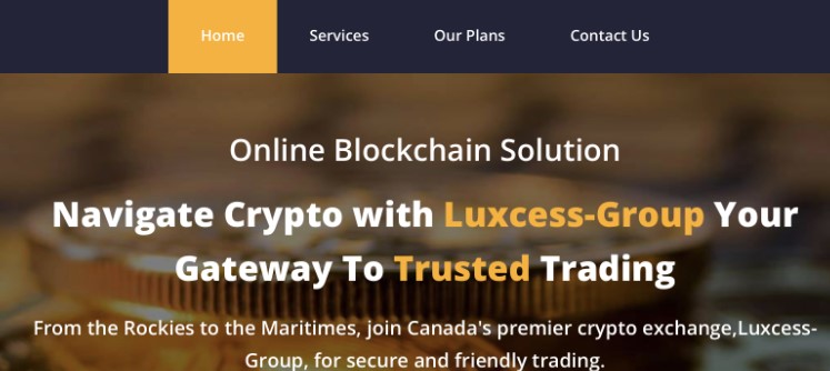 Luxcess-group.com