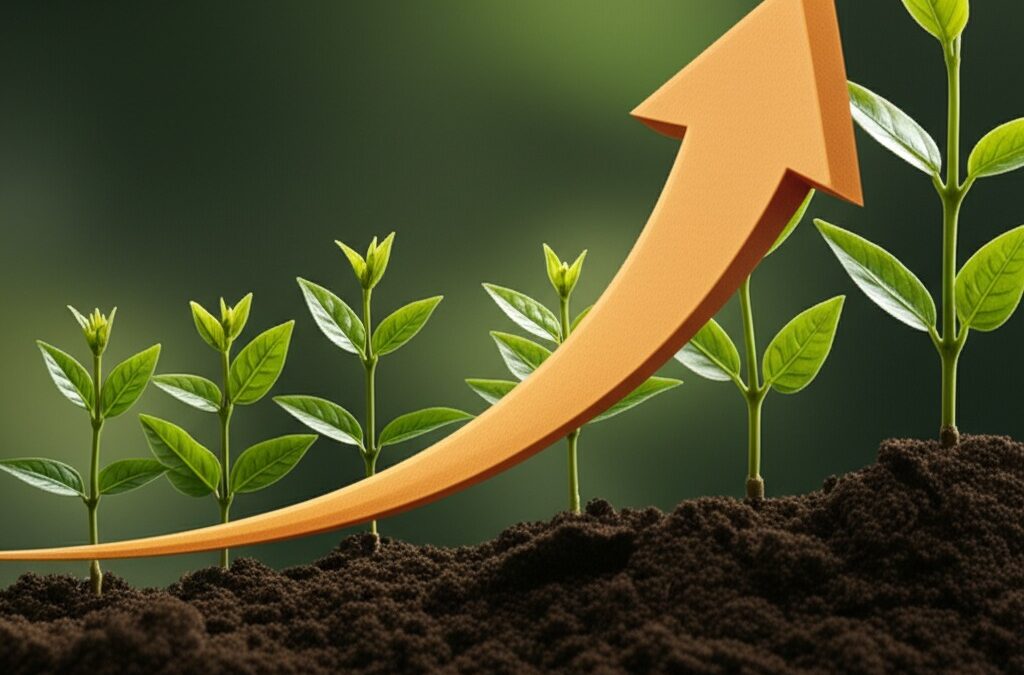 Data-First Affiliate Growth: How Everad’s Network Drives Higher LTV Than Traditional Programs