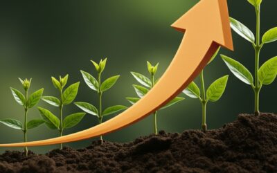 Data-First Affiliate Growth: How Everad’s Network Drives Higher LTV Than Traditional Programs