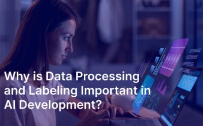 Why Is Data Processing and Labeling Important in AI Development?
