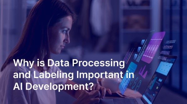 Why Is Data Processing and Labeling Important in AI Development?