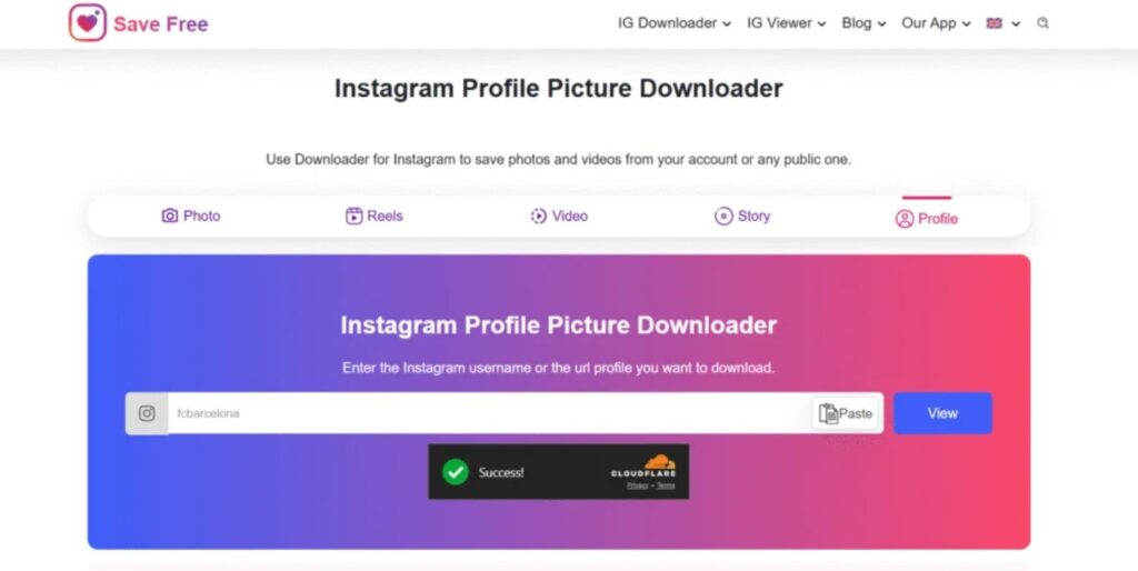 InstaZoom