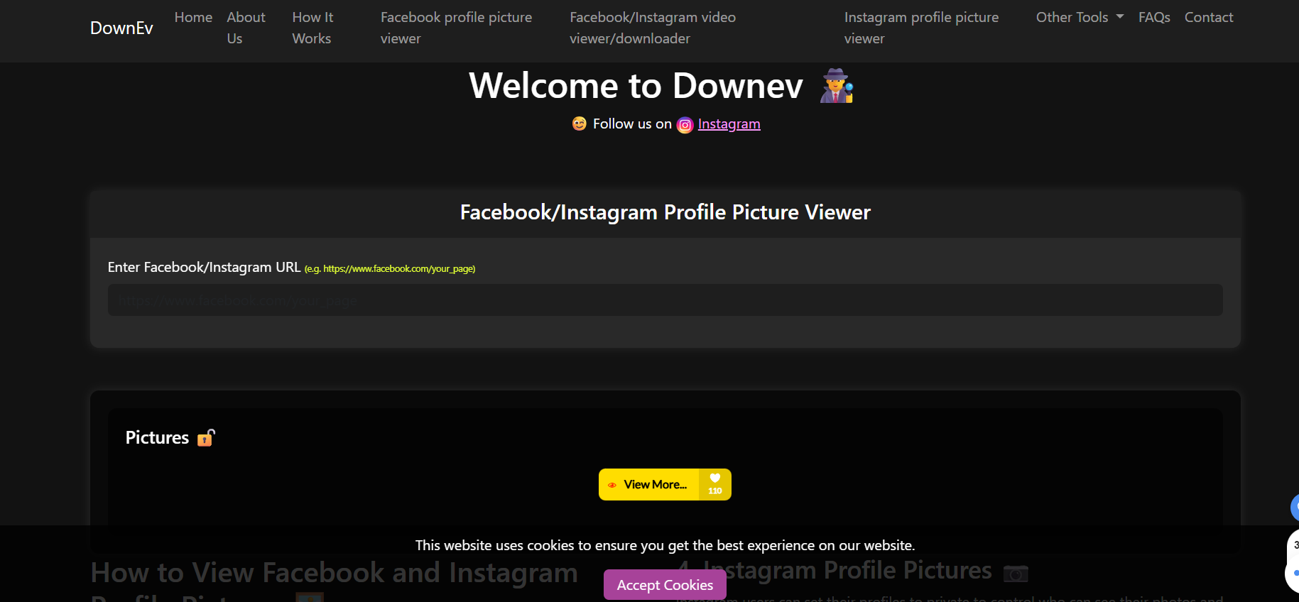 Facebook Profile Picture Viewer Tool