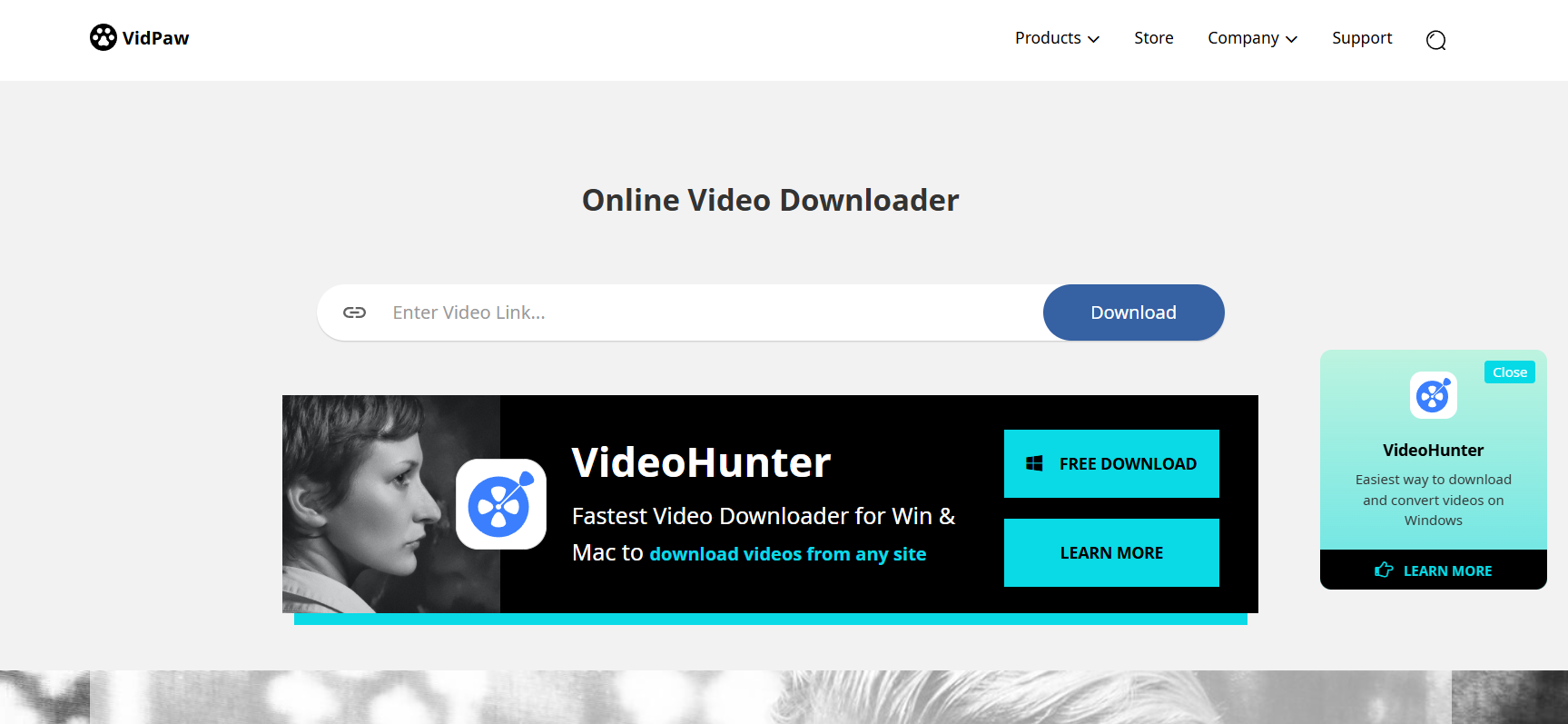 VidPaw