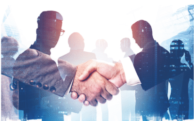 Understanding the Essential Parts of a Team