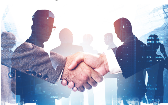 Understanding the Essential Parts of a Team