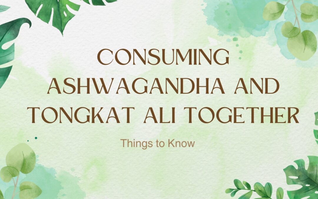 Consuming Ashwagandha and Tongkat Ali Together: Things to Know 