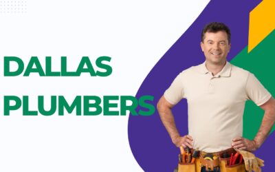 Reasons to Trust Professional Dallas Plumbers With Your Home’s Plumbing