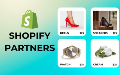 10 Powerful Reasons You Should Hire a Shopify Partner for Your Next Project